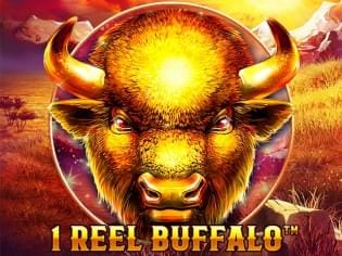 1 Reel Buffalo game icon