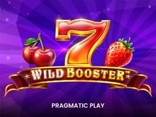 Wild Booster game icon